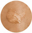 10 SEC swatch